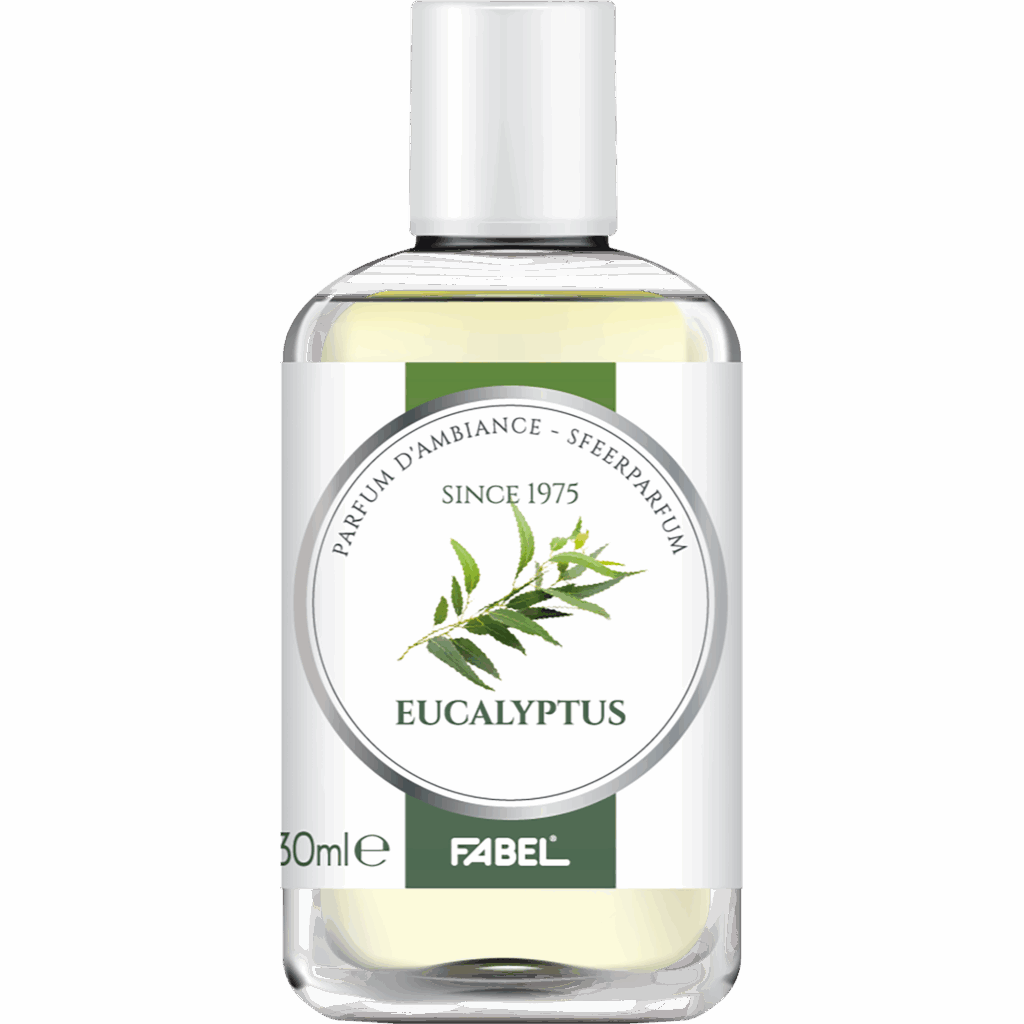 Parfum d’ambiance eucalyptus