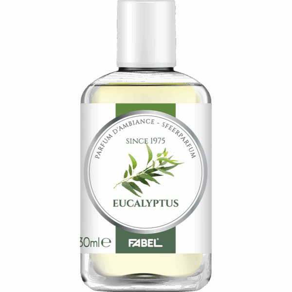 Eucalyptus sfeerparfum