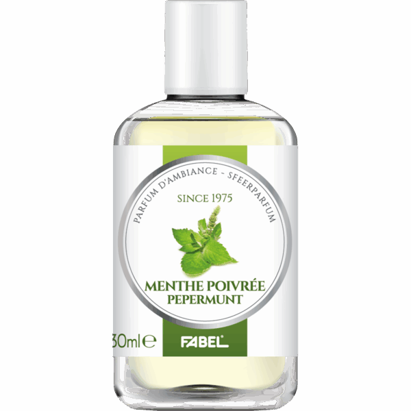 Parfum d’ambiance menthe poivrée